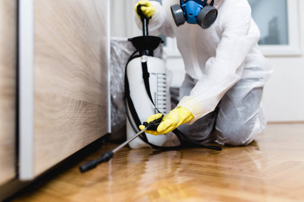 Best Rat Extermination Near Me  in Massillon, OH