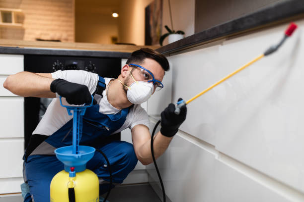 Best Commercial Pest Control Services  in Massillon, OH