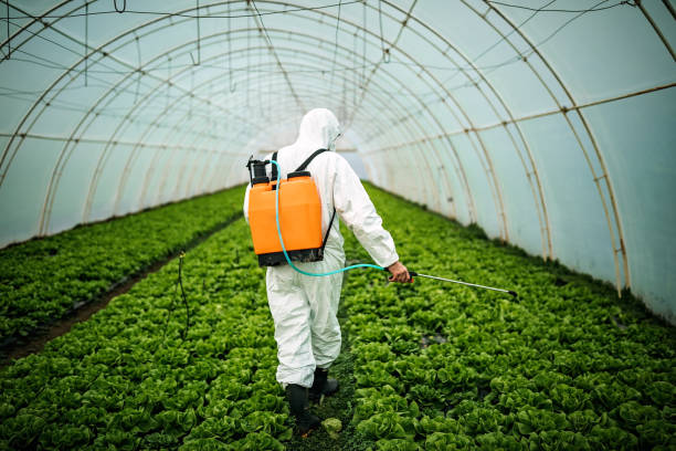 Professional Pest Control in Massillon, OH