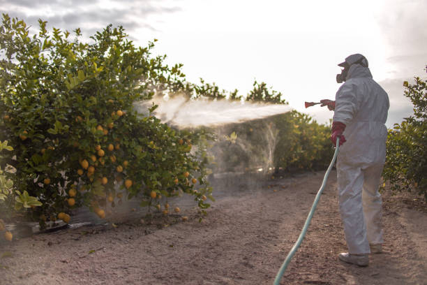 Pest Prevention Services in Massillon, OH