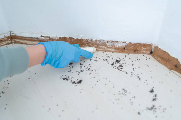 Pest Control for Restaurants in Massillon, OH